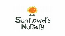 Sunflowers Nursery